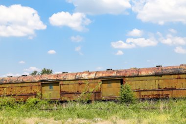 Weeds Rusty yük arabalar