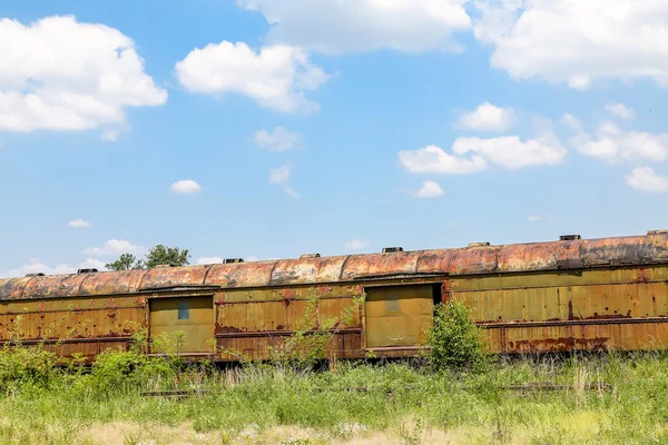 Rusty vracht auto's in onkruid — Stockfoto