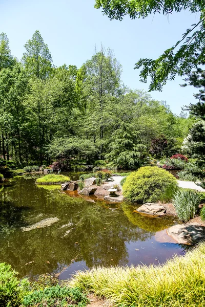 緑の日本庭園にある湖 — ストック写真