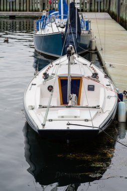 Beyaz ve mavi Yelkenliler