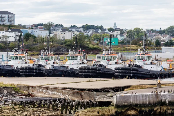 Fem bogserbåtar i hamnen — Stockfoto