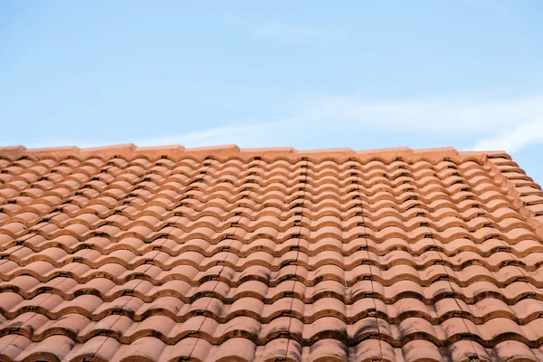 Roetzwarte oranje pannendak — Stockfoto