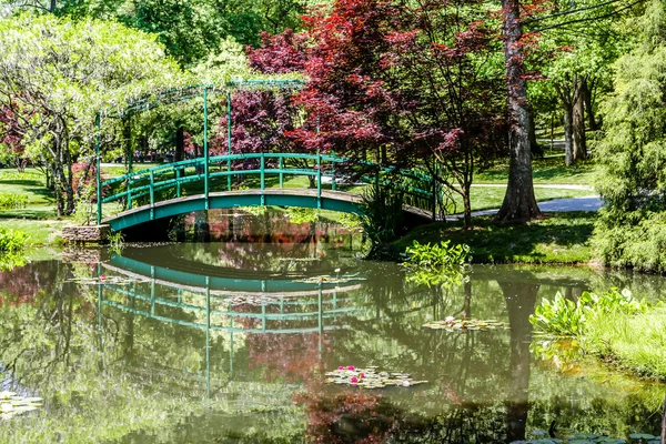 Puente verde sobre el lago tranquilo —  Fotos de Stock