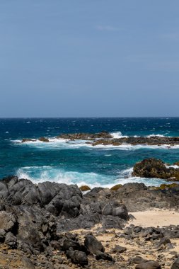Black Coral on Beach with Blue Surf