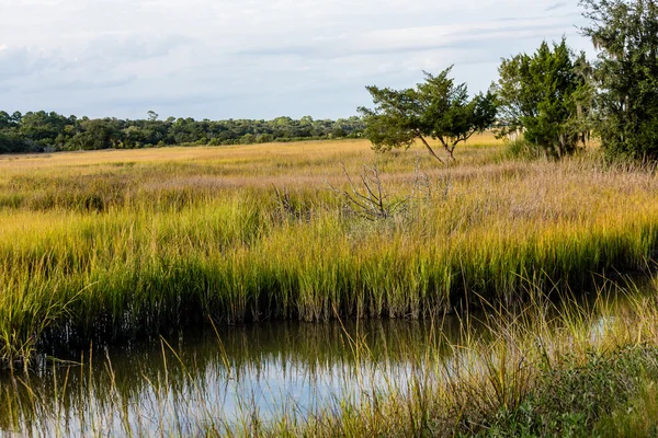 Stream Through Wetland Marsh — Stockfoto