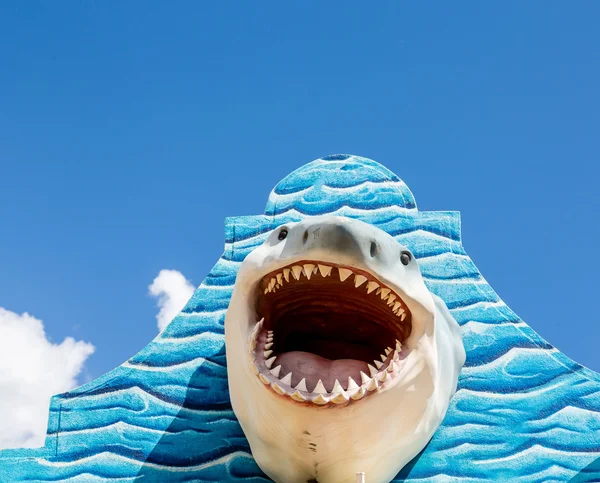 Tiburón blanco en la pared azul — Foto de Stock