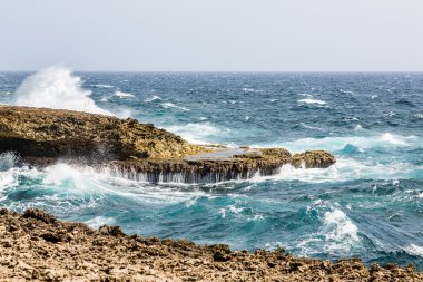 Üzerinde siyah mercan sıçramasına deniz