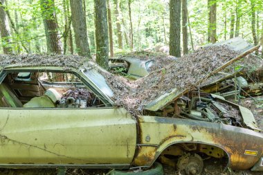 Eski Grungy Buick Hood açık