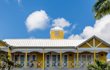Teneke Roor ile sarı tropikal ev