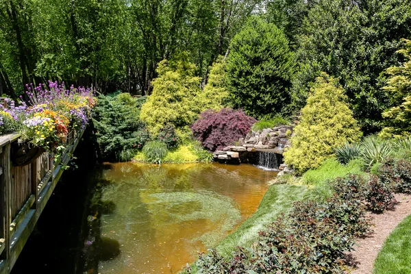 Arbres paysagers autour du lac par pont — Photo