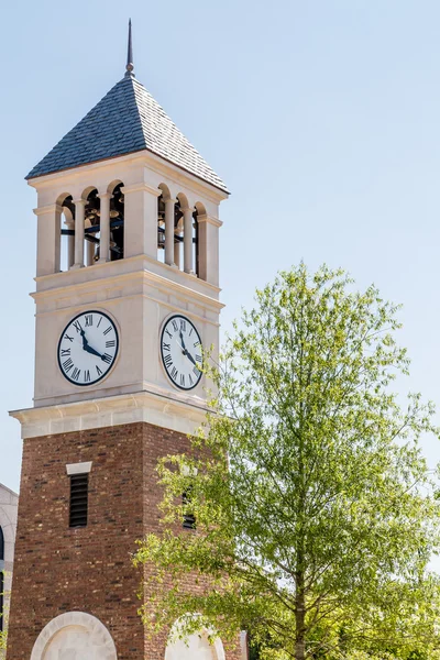 Torre de reloj de ladrillo y estuco por árbol — Foto de Stock