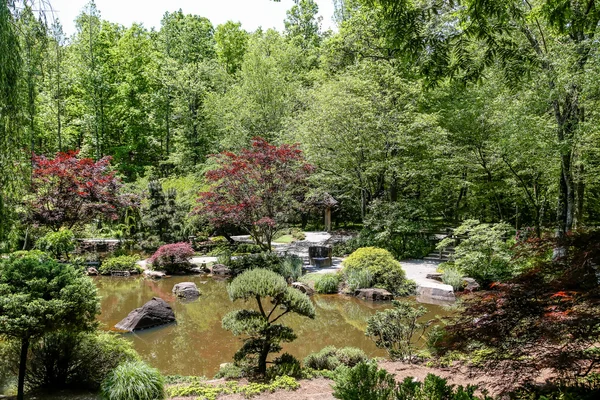 Японские кленовые и вечнозеленые растения вокруг озера — стоковое фото