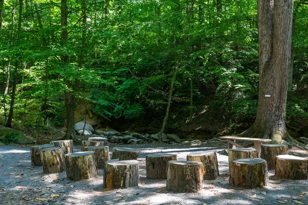 Los tocones de árboles como bancos de parque — Foto de Stock