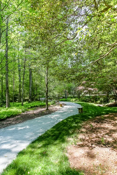 Caminho pedestre sinuoso através da floresta — Fotografia de Stock