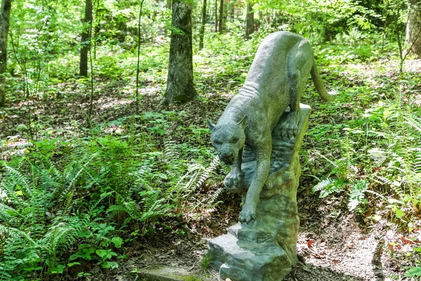 Statua del Leone di Montagna nella Foresta — Foto Stock