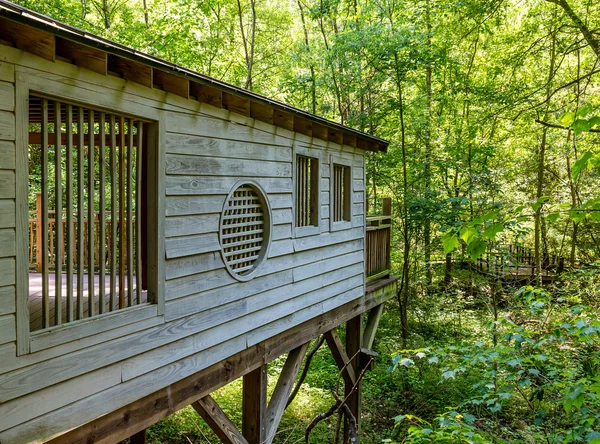 Ponte di legno personalizzato che si affaccia sulla foresta lussureggiante — Foto Stock