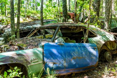 Mavi yeşil Buick kapıda