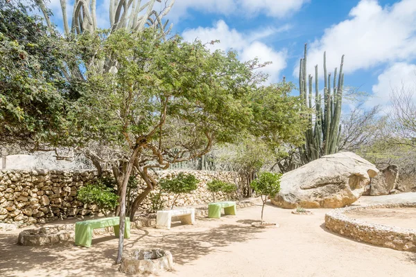 Panchine nel giardino roccioso del deserto — Foto Stock