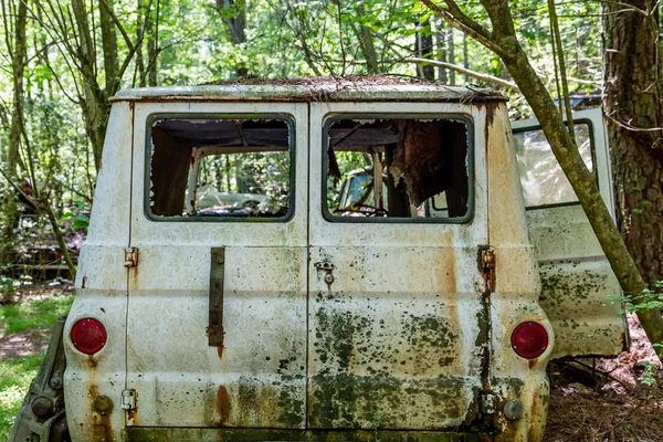 Alter weißer Lieferwagen im Wald — Stockfoto