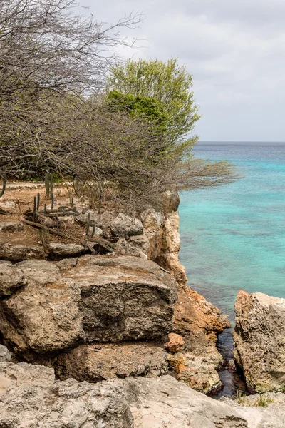 Erozji wybrzeża Curacao — Zdjęcie stockowe