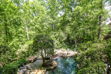 Bahçe gölet yukarıdan