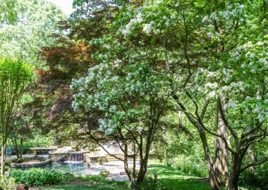 Çevresinde bir Landscaped Pond güzel ağaçlar