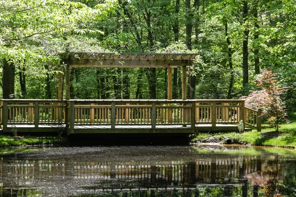 Pont en bois sur le lac calme dans le jardin — Photo