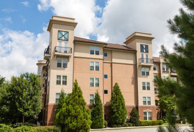 Herdem yeşil sıva kınamak