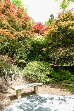 Tezgah bahçesinde akçaağaç bulunan