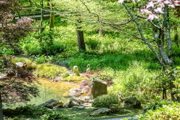 Grues en pierre dans le jardin — Photo