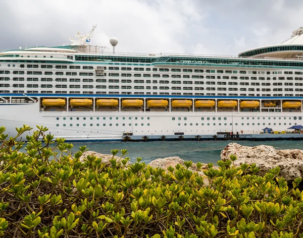 Arbustes verts sur Seawall avec bateau de croisière dans la cour arrière — Photo