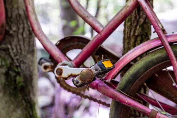 さびた紫の自転車にペダル — ストック写真