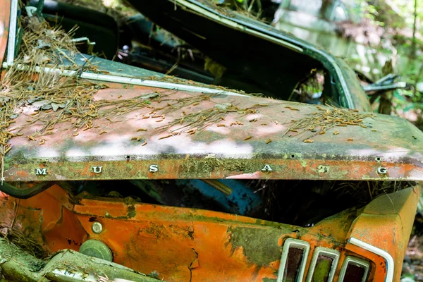 Mustang arancione distrutto — Foto Stock