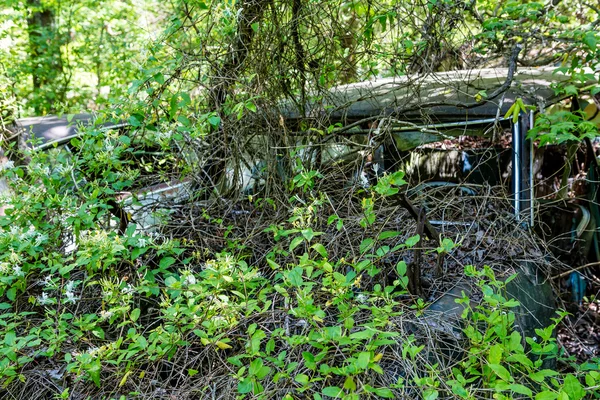 Havarované auto v Vines — Stock fotografie