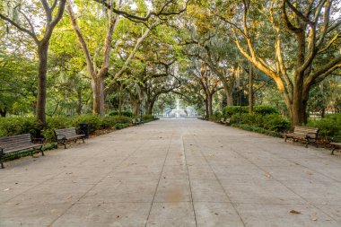 Forsyth Parkı erken sabah ışık