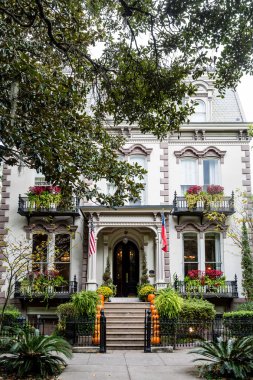 Savannah verandada kabaklar