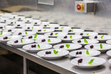 Satır garnitür ile plakaların