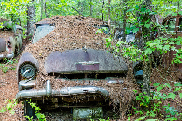 Straw Covered Plymouth