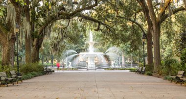 Parkın içinden koşucu