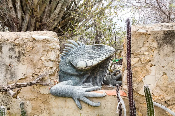 Iguana e cacto — Fotografia de Stock