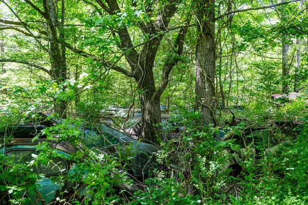 Ağaçların içinde ezilmiş arabalar
