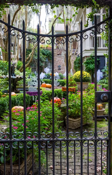 Un jardín de Halloween — Foto de Stock