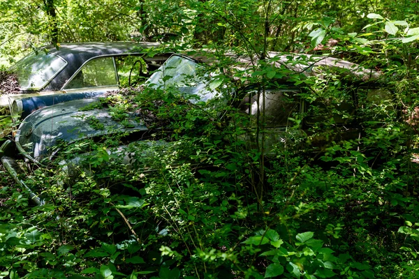Ormanda wrecked Volkswagen Fastback