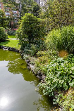 Zambak yeşil kıyı Gölü