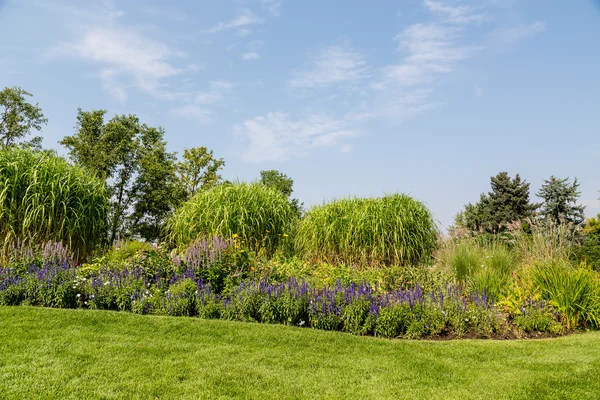 Fleurs et arbres sur la colline du jardin paysager — Photo