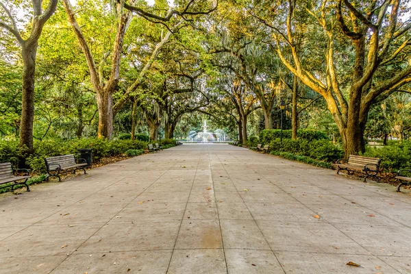 Paseo a la fuente debajo de los robles —  Fotos de Stock