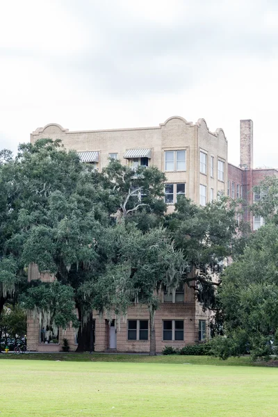 Bâtiment de pierre au-delà de la mousse espagnole dans les arbres — Photo