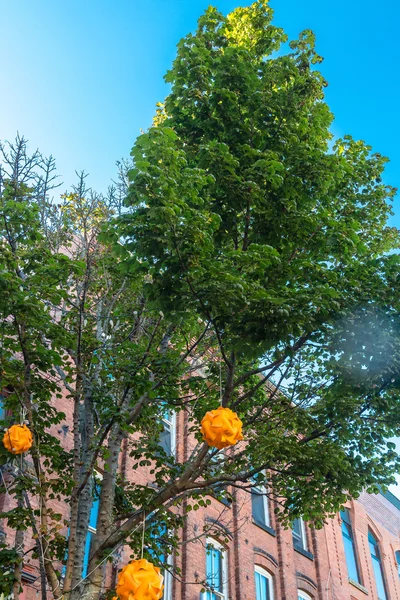 Orange Decorations in Tree by Old Brick. — Stock Photo, Image