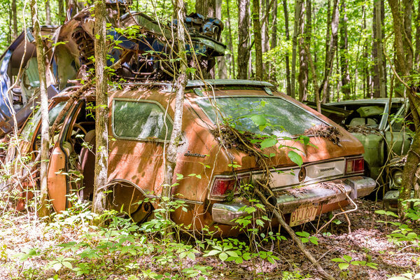 AMC Hornet Sportabout