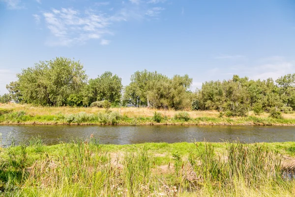 Fiume Platte in estate — Foto Stock